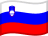 Slovenia flag